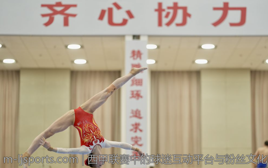 西甲联赛中的球迷互动平台与粉丝文化建设